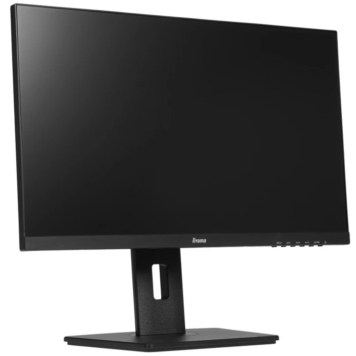 Монитор Iiyama ProLite XUB2492HSN-B5, 24", черный