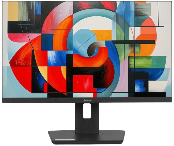 Монитор Iiyama ProLite XUB2492HSU-B6, 23.8", черный