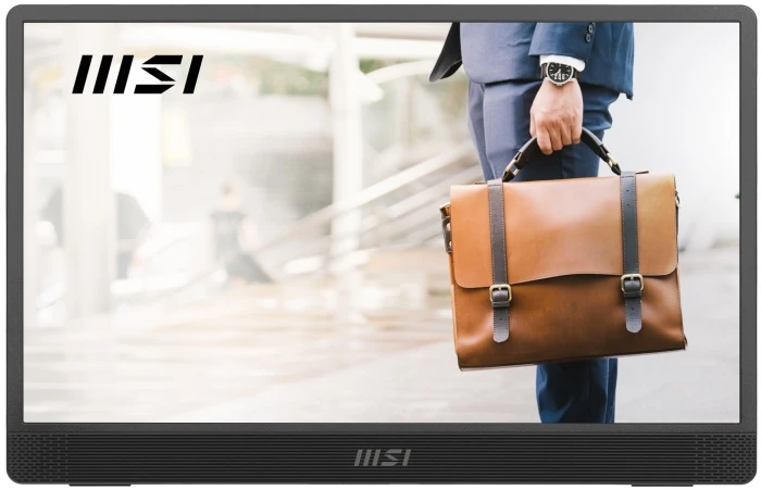 Монитор MSI PRO MP161 E2U, 15.6", серый