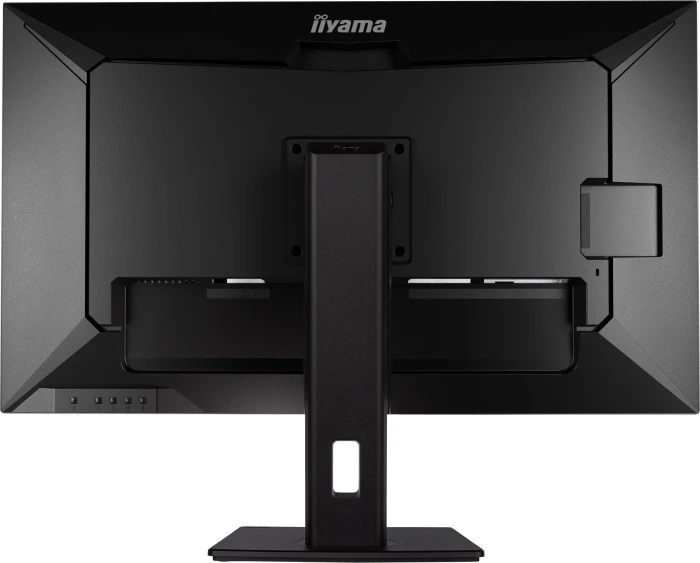 Монитор Iiyama ProLite XUB3293UHSN-B5, 31.5", черный