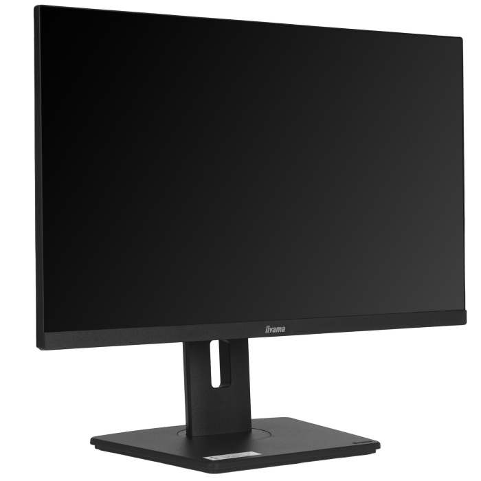 Монитор Iiyama ProLite XUB2492HSU-B6, 23.8", черный