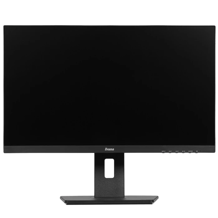 Монитор Iiyama ProLite XUB2492HSN-B5, 24", черный