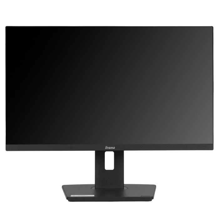 Монитор Iiyama ProLite XUB2492HSU-B6, 23.8", черный
