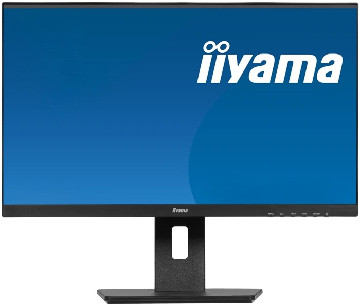Монитор Iiyama ProLite XUB2492HSN-B5, 24", черный