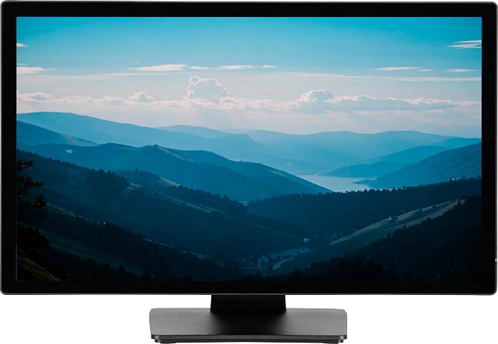 Монитор Iiyama ProLite T2452MSC-B1, 23.8", черный