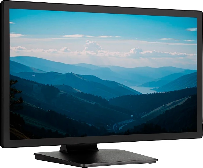 Монитор Iiyama ProLite T2452MSC-B1, 23.8", черный