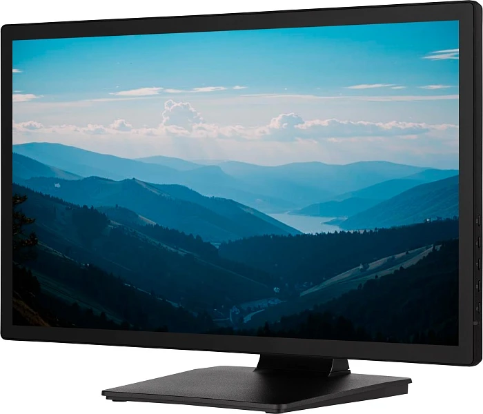 Монитор Iiyama ProLite T2452MSC-B1, 23.8", черный